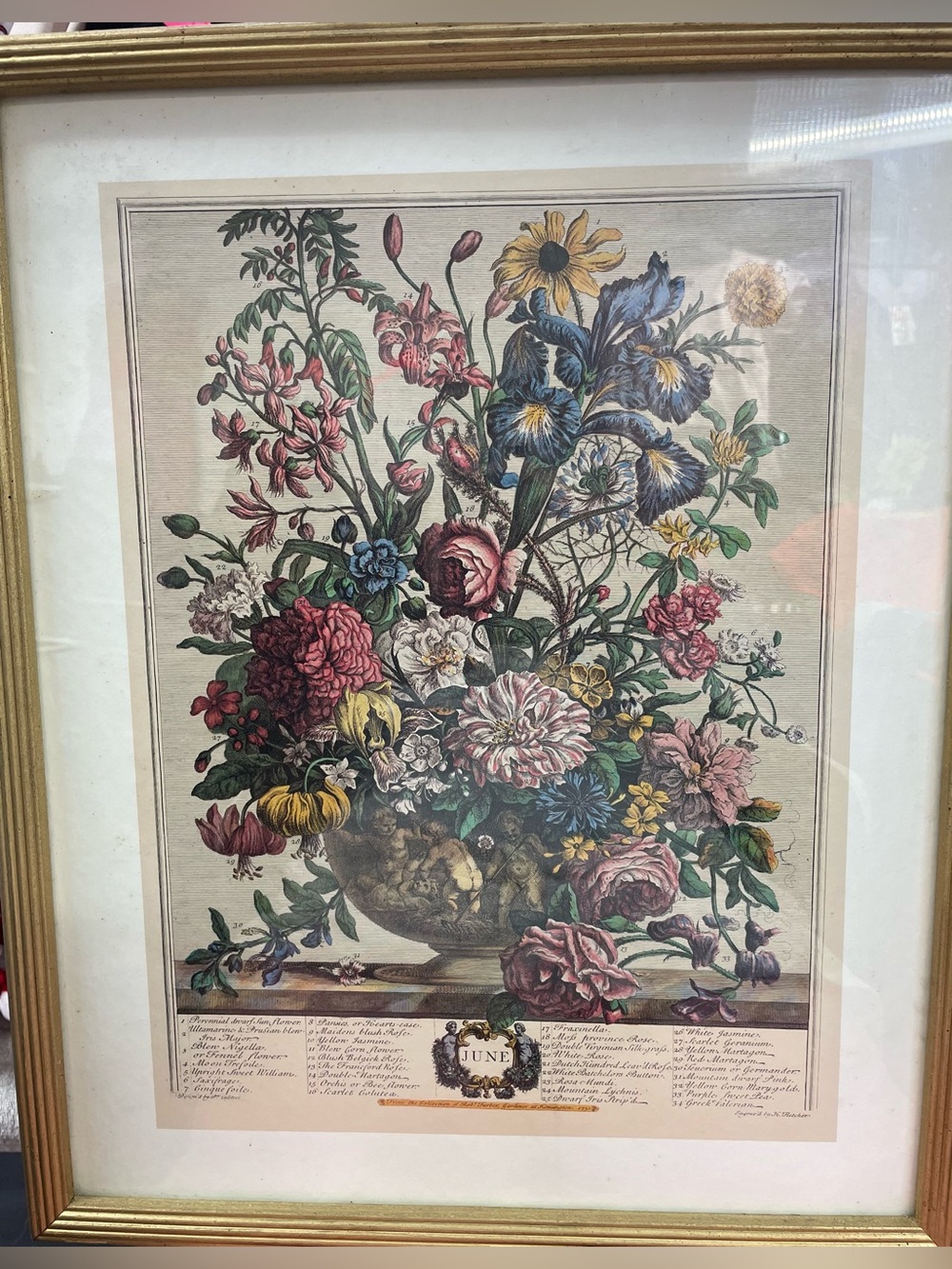 Vintage Robert Furber flowers of June Floral Botanical Print Gold Frame 16x12
